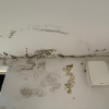 Corner of a room showing mould 