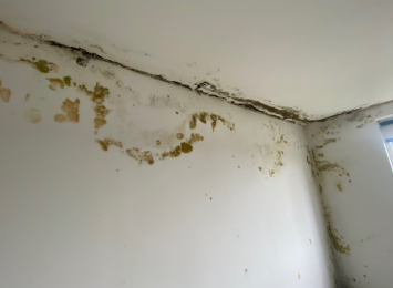 Corner of a room showing mould