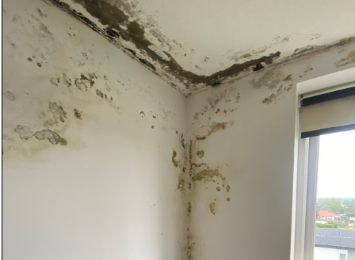 Corner of a room showing mould