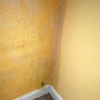 Wall showing water damage